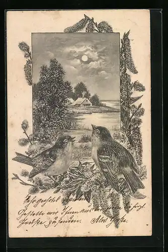 Künstler-AK Zwei Singvögel vor einer Seenlandschaft