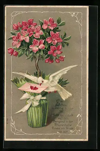 Präge-AK Taube mit Brief vor einer blühenden Topfblume
