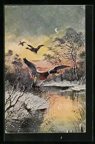 Künstler-AK Fliegende Enten über einem Gewässser im Winter