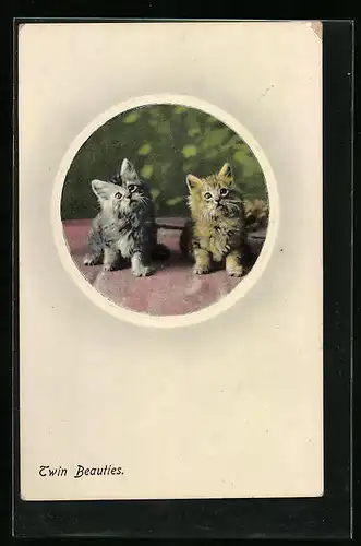 Künstler-AK Twin Beauties - Zwei kleine Katzen