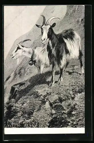 Künstler-AK Zwei Ziegen an einem Abhang in den Bergen