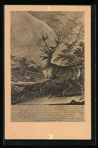 Künstler-AK Hirsch mit prächtigem Geweih vor Hundemeute