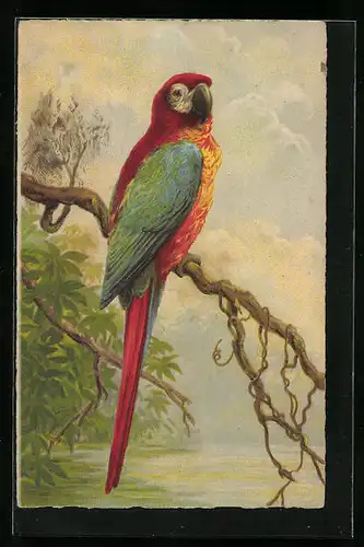 Künstler-AK Papagei auf einem Ast vor einem See