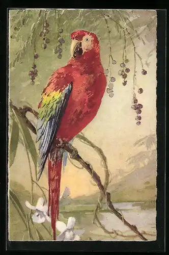Künstler-AK Papagei auf einem Ast unter Beeren