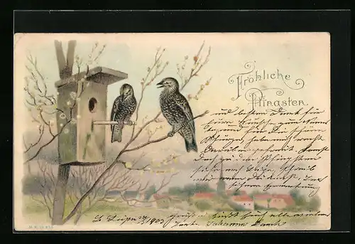 Künstler-AK Zwei Stare an einem Nistkasten im Frühling - Pfingstgruss