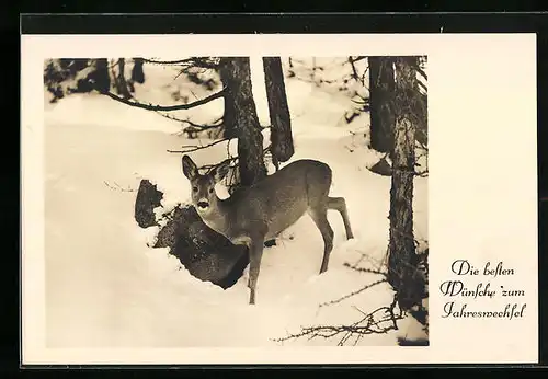 AK Reh im schneebedeckten Wald - Neujahrsgruss