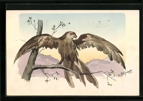 Künstler-AK Adler mit ausgebreiteten Schwingen auf einem Ast