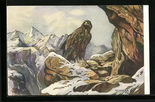 Künstler-AK Steinadler auf einem Felsabsatz vor Berggipfeln