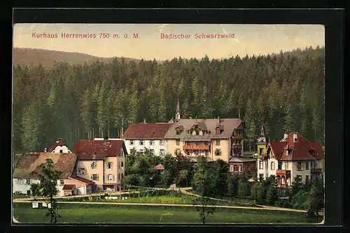 AK Herrenwies /bad. Schwarzwald, Ortspartie mit Kurhaus