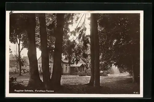 AK Tornow /Neuruppin, Forsthaus, Ruppiner Schweiz