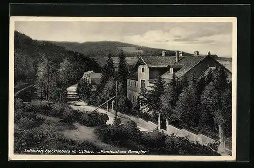 AK Stecklenberg /Ostharz, Pensionshaus Grempler