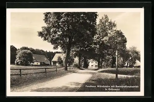 AK Wörnbrunn /Grünwald, Weg zum Restaurant Forsthaus