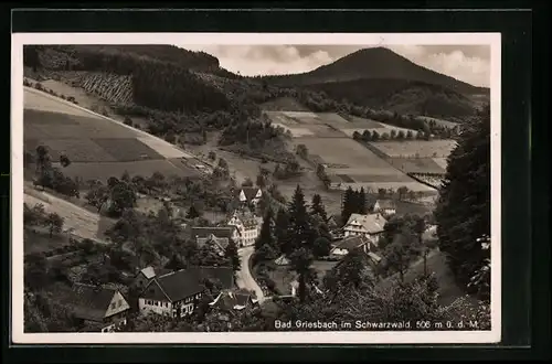 AK Bad Griesbach /Schwarzwald, Strassenpartie mit Feldern