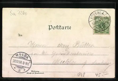 Lithographie Oschatz, Totalansicht mit Kirche und Rathaus