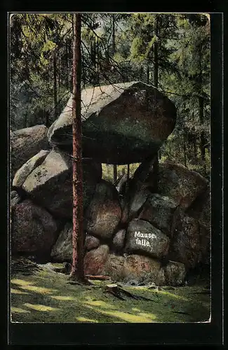 AK Mausefalle, Felspartie b. Okertal, Gesteinsformation