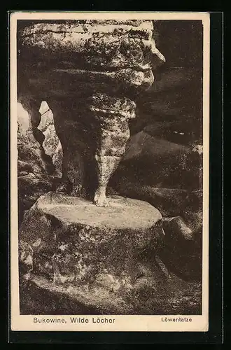 AK Bukowine, Wilde Löcher, Gesteinsformation