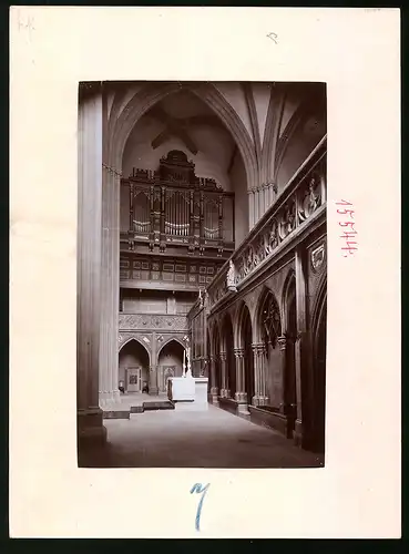 Fotografie Brück & Sohn Meissen, Ansicht Meissen i. Sa., Blick auf Lettner und Orgel im Dom zu Meissen