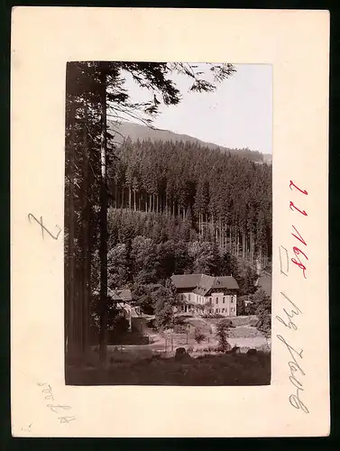 Fotografie Brück & Sohn Meissen, Ansicht Kipsdorf i. Erzg., Blick auf die Schäfermühle