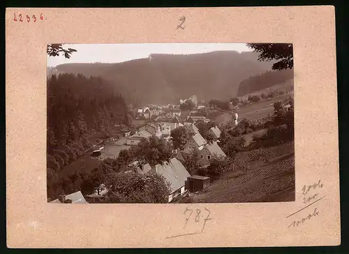 Fotografie Brück & Sohn Meissen, Ansicht Natschungtal, Blick auf den Ort