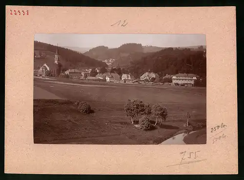 Fotografie Brück & Sohn Meissen, Ansicht Neuhausen i. Erzg., Teilansicht der Ortschaft mit Holzlager