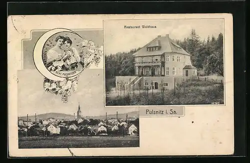 AK Pulsnitz i. Sa., Ortsansicht mit Restaurant Waldhaus