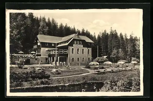 AK Waldbärenburg /sächs. Erzgebirge, Hotel Schäfermühle, Aussenterrasse