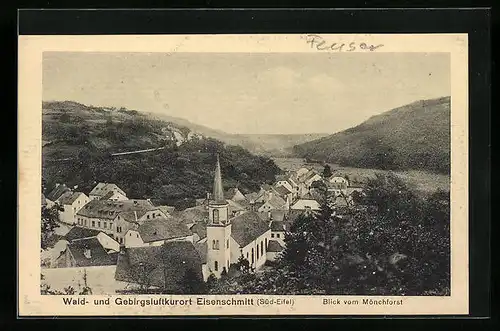 AK Eisenschmitt /Eifel, Blick vom Mönchforst