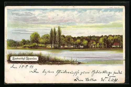 Lithographie Berlin-Tegel, Partie am Saatwinkel