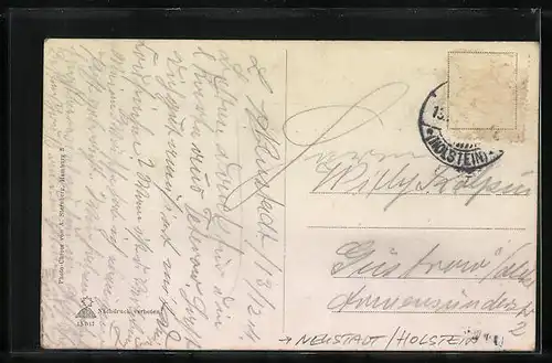 AK Neustadt i. Holst., Jungfernstieg, Fahnen, Wappen