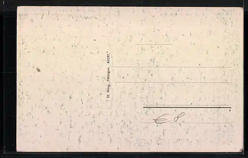 AK Tübingen, Das Universitätsviertel