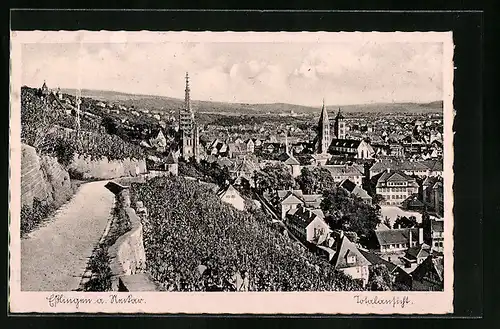 AK Esslingen a. Neckar, Totalansicht vom Weinberg aus