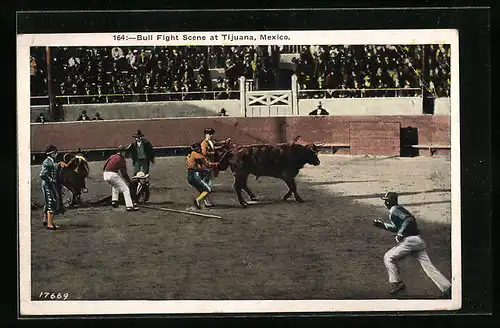 AK Tijuana, Bull Fight Scene, Stierkampf