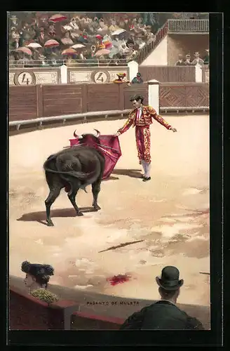 AK Pasando de Muleta, Torero und Stier