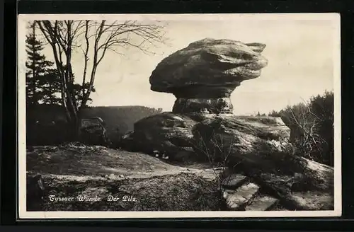 AK Tyssaer Wände, Der Pilz, Gesteinsformation