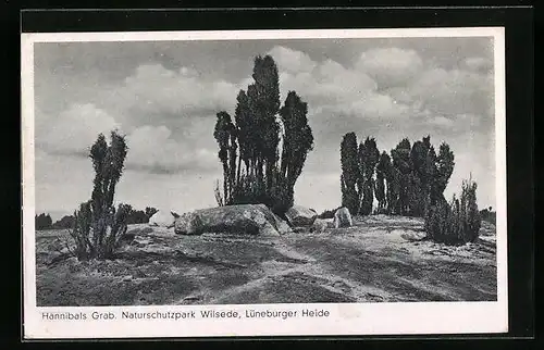 AK Wilsede, Lüneburger Heide, Naturschutzpark Wilsede, Hannibals Grab, Gesteinsformation