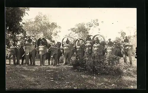 AK Zehn Arbeitselefanten in Singapur