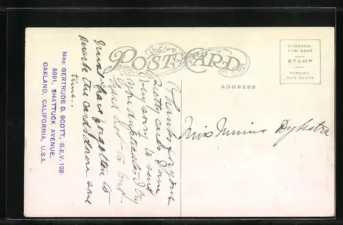 AK Straussen der South Pasadena Ostrich Farm auf der Wiese