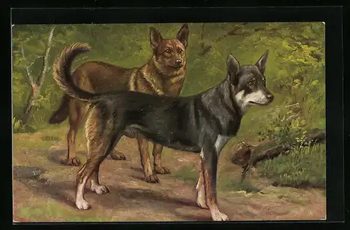 Künstler-AK Zwei Schäferhunde auf einer Waldlichtung