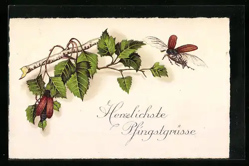 Künstler-AK Zwei Maikäfer mit einem Birkenast - Pfingstgruss