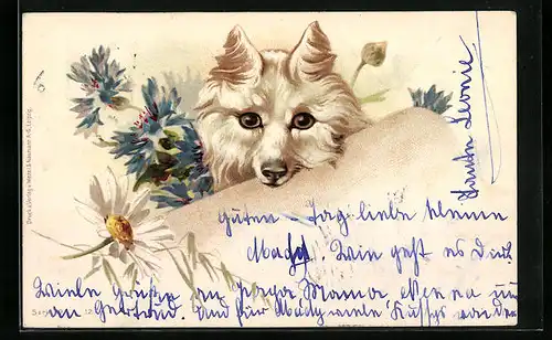 Künstler-AK Kopfportrait eines weissen Hundes mit Kornblumen und Margerite