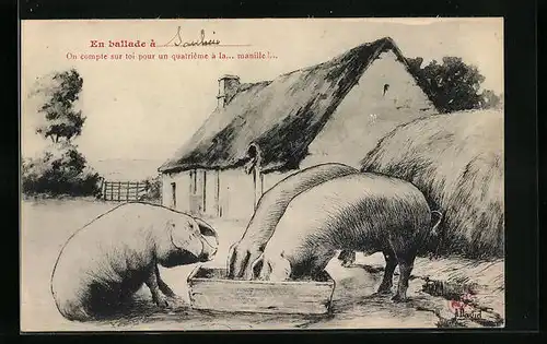 Künstler-AK Drei Schweine vor einem Haus am Futtertrog