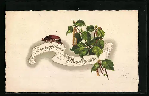 Künstler-AK Maikäfer auf einem Birkenzweig - Pfingstgruss