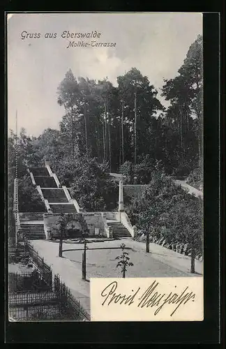 AK Eberswalde, Moltke-Terrasse mit Umgebung