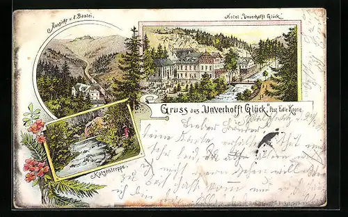 Lithographie Edle Krone, Unverhofft Glück mit Hotel und Katzentreppe