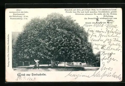 AK Bordesholm, grosse Linde mit Passanten