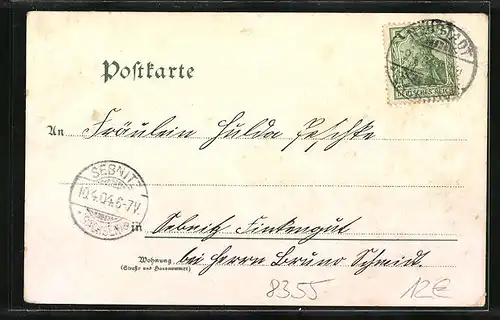 Lithographie Neustadt i. S., Schule, Kaiserliche Post, Urigerberg, Kgl. Amtsgericht