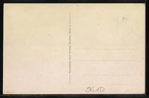 AK Glauchau, Strassenpartie am grünen Winkel