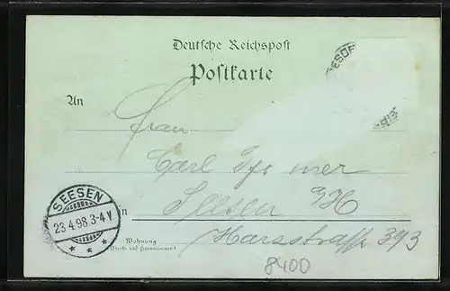 Mondschein-Lithographie Riesa, Ortsansicht mit Stadtpark