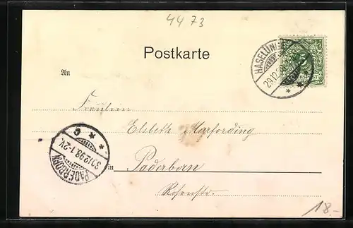 AK Haselünne, Pensionat St. Ursula aus der Vogelschau