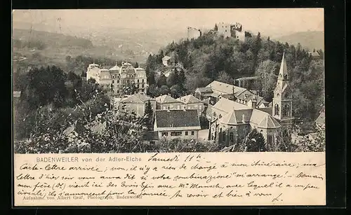 AK Badenweiler, Blick von der Adler-Eiche
